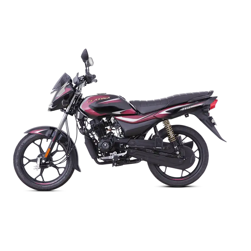 Bajaj Platina ES